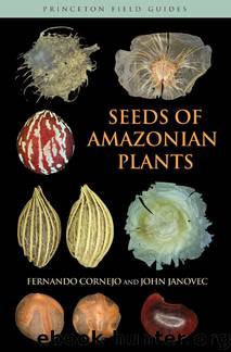 Seeds of Amazonian Plants by Cornejo Fernando Janovec John. & John Janovec