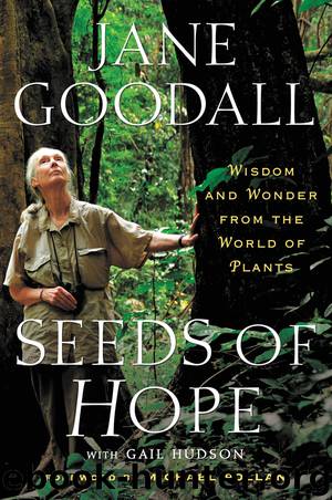 Seeds of Hope by Jane Goodall
