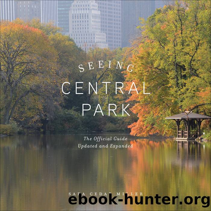 Seeing Central Park by Sara Cedar Miller