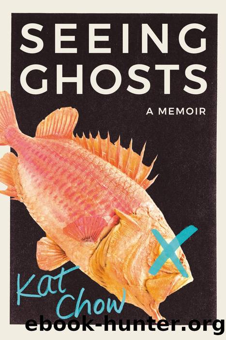 Seeing Ghosts by Chow Kat