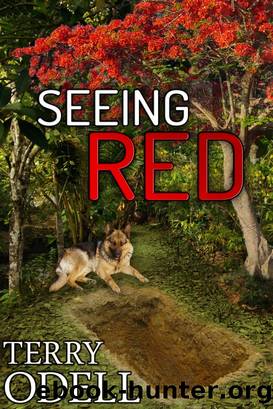 Seeing Red by Terry Odell