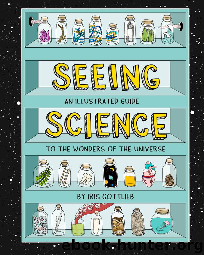 Seeing Science by Iris Gottlieb