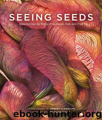 Seeing Seeds by Teri Dunn Chace