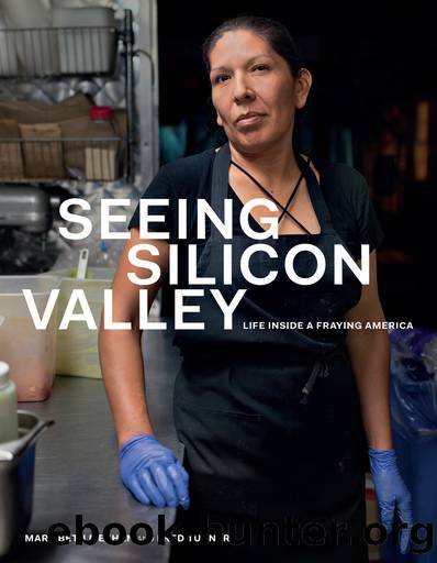 Seeing Silicon Valley: Life Inside a Fraying America by Mary Beth Meehan and Fred Turner