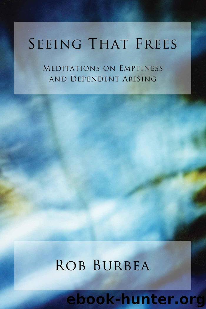 Seeing That Frees: Meditations on Emptiness and Dependent Arising by Burbea Rob