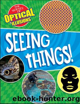 Seeing Things! by Anna Claybourne