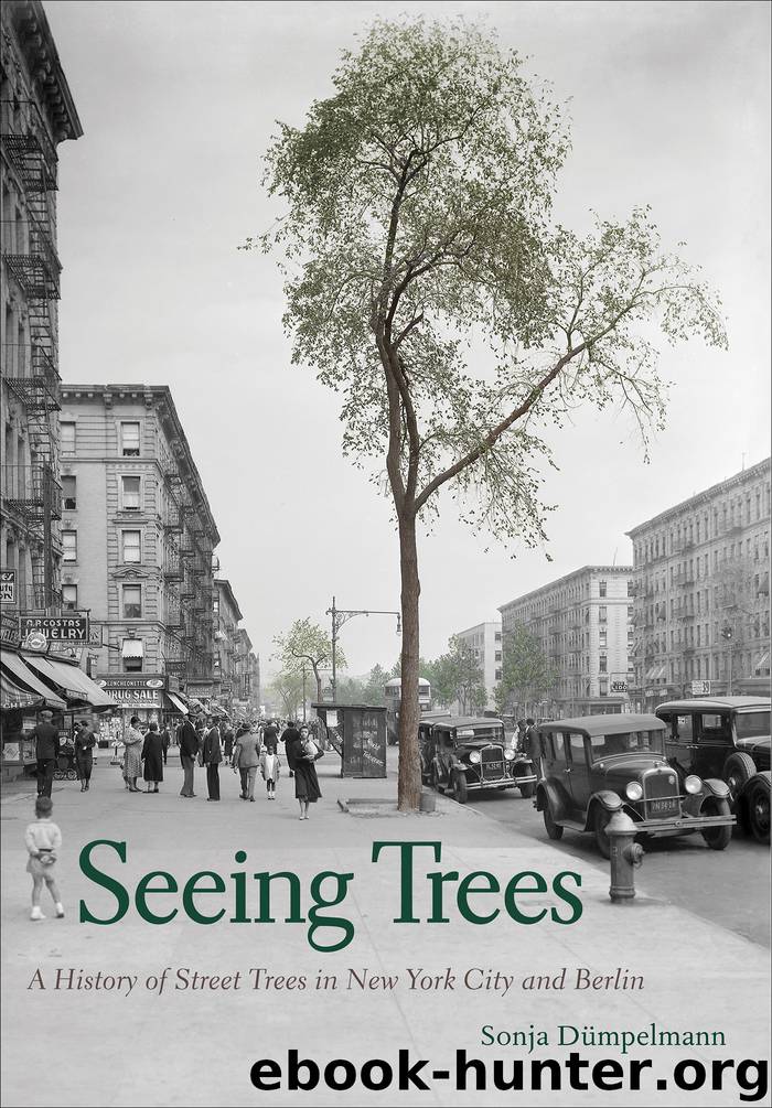 Seeing Trees by Sonja Dümpelmann