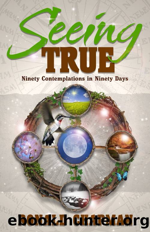 Seeing True - Ninety Contemplations in Ninety Days by Chapman Ronald
