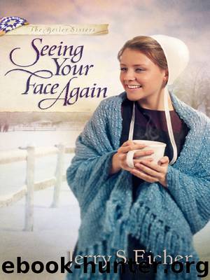 Seeing Your Face Again by Jerry S. Eicher