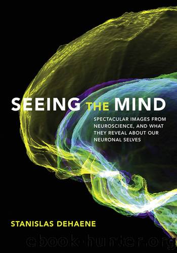 Seeing the Mind by Stanislas Dehaene