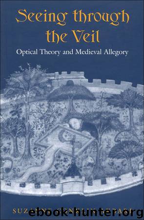 Seeing through the Veil: Optical Theory and Medieval Allegory by Suzanne Conklin Akbari