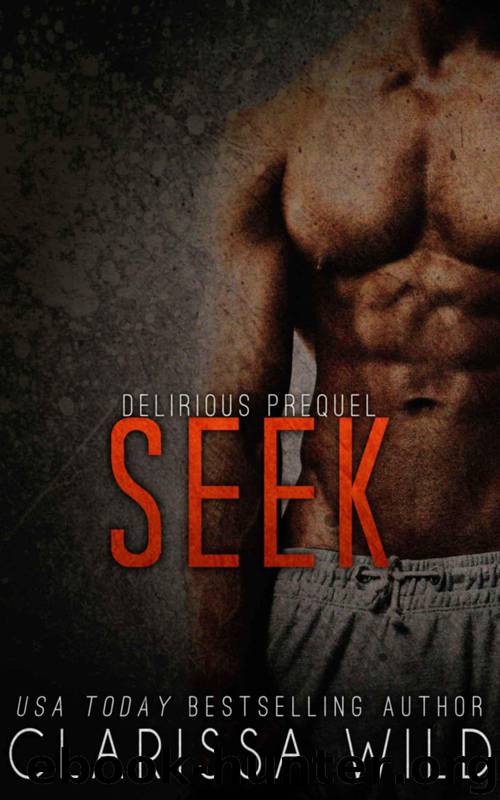 Seek (Prequel Delirious) by Wild Clarissa