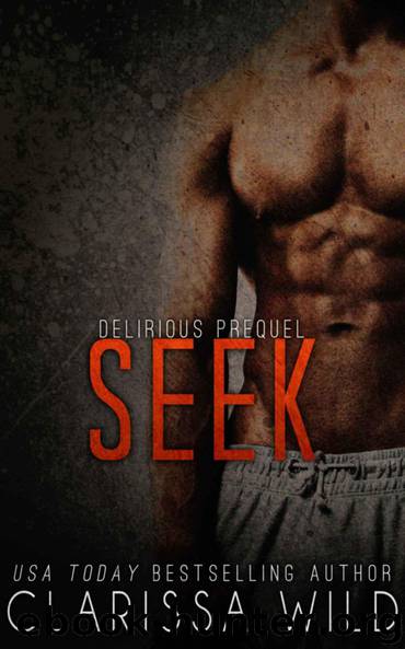 Seek by Clarissa Wild