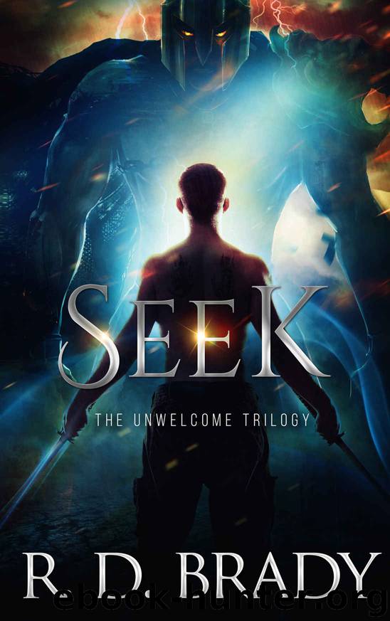 Seek by R D Brady