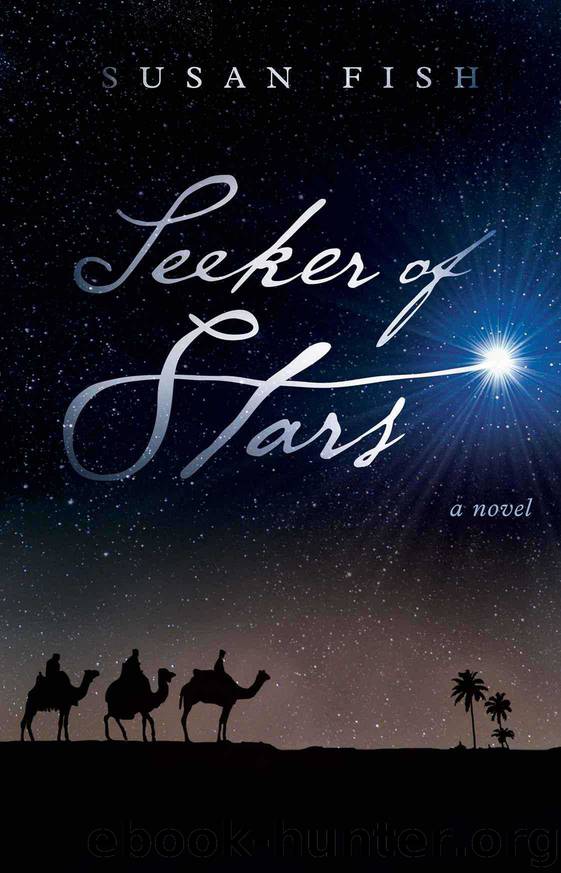 Seeker of Stars: A Novel by Susan Fish