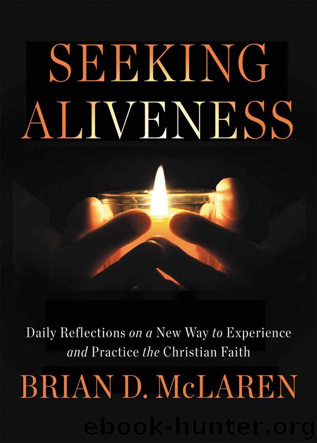 Seeking Aliveness by Brian D. McLaren