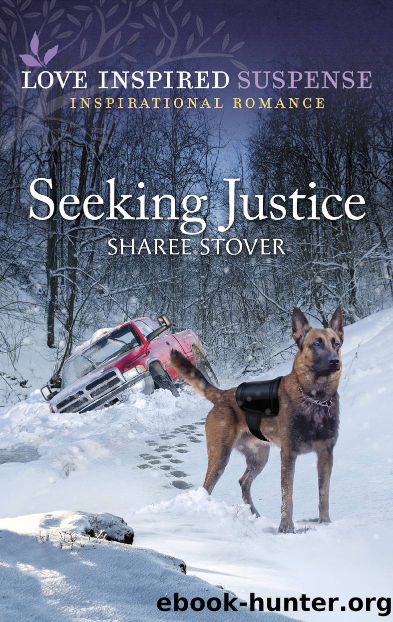 Seeking Justice by Sharee Stover