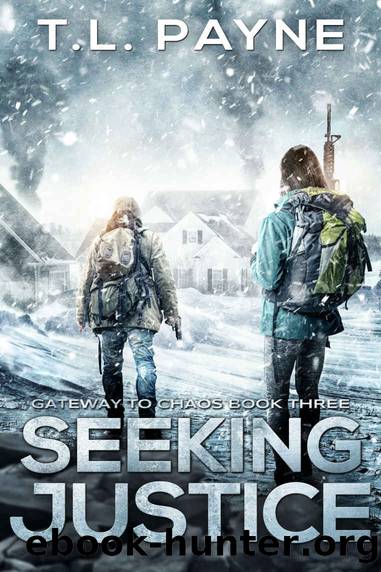 Seeking Justice: Gateway to Chaos: Book Three by Payne T. L