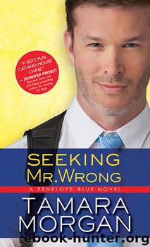Seeking Mr. Wrong by Tamara Morgan