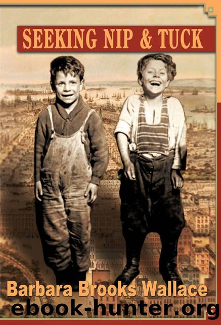 Seeking Nip and Tuck by Barbara Brooks Wallace