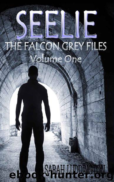 Seelie (The Falcon Grey Files Book 1) by Luddington Sarah