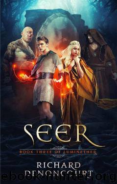 Seer by Richard Denoncourt