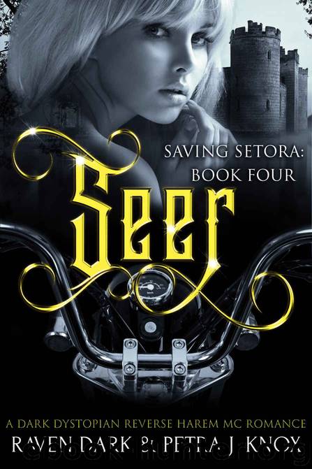 Seer: Saving Setora Book 4 by Dark Raven & J. Knox Petra