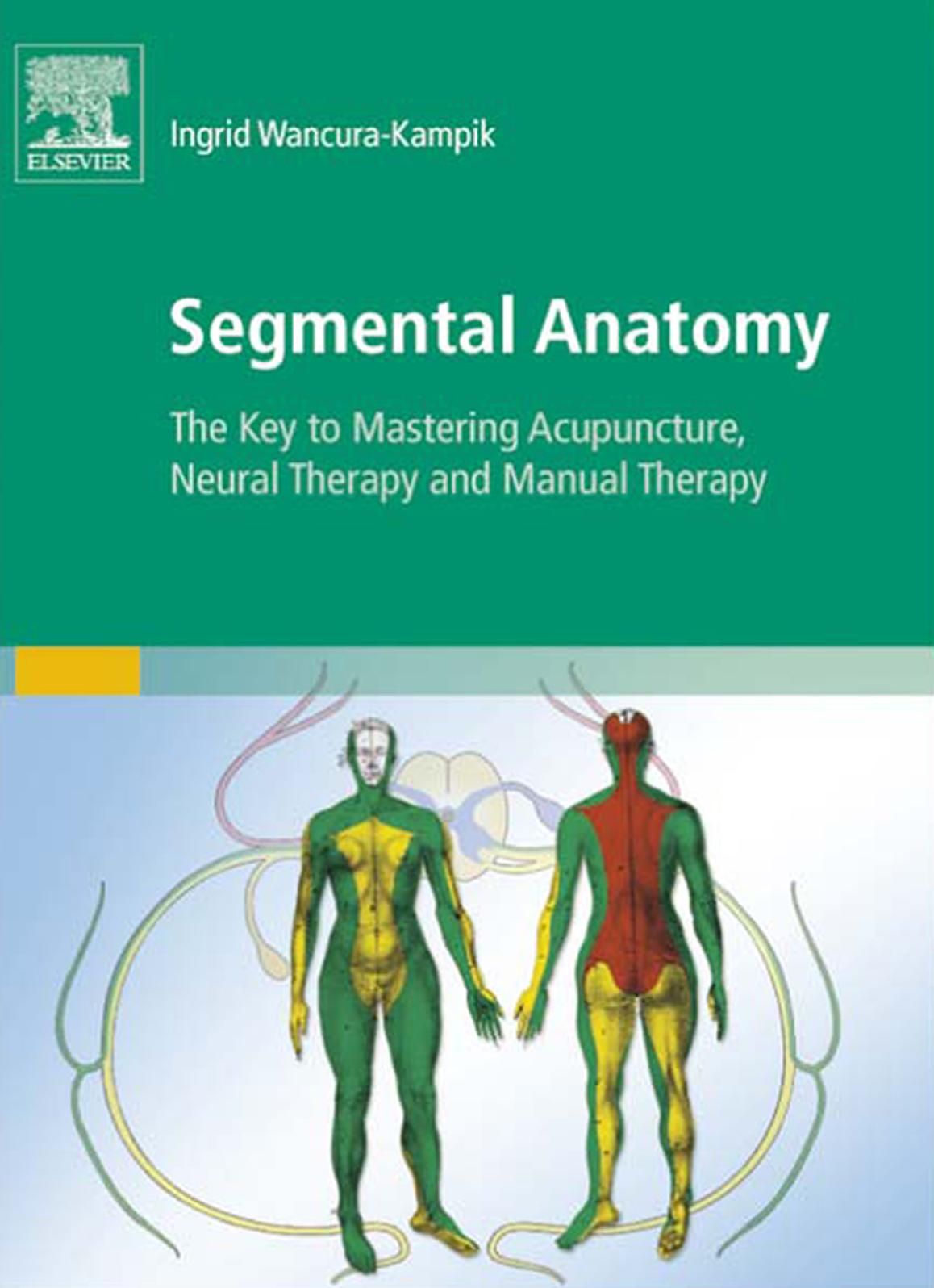 Segmental Anatomy : The Key to Mastering Acupuncture, Neural Therapy, and Manual Therapy by Ingrid Wancura-Kampik