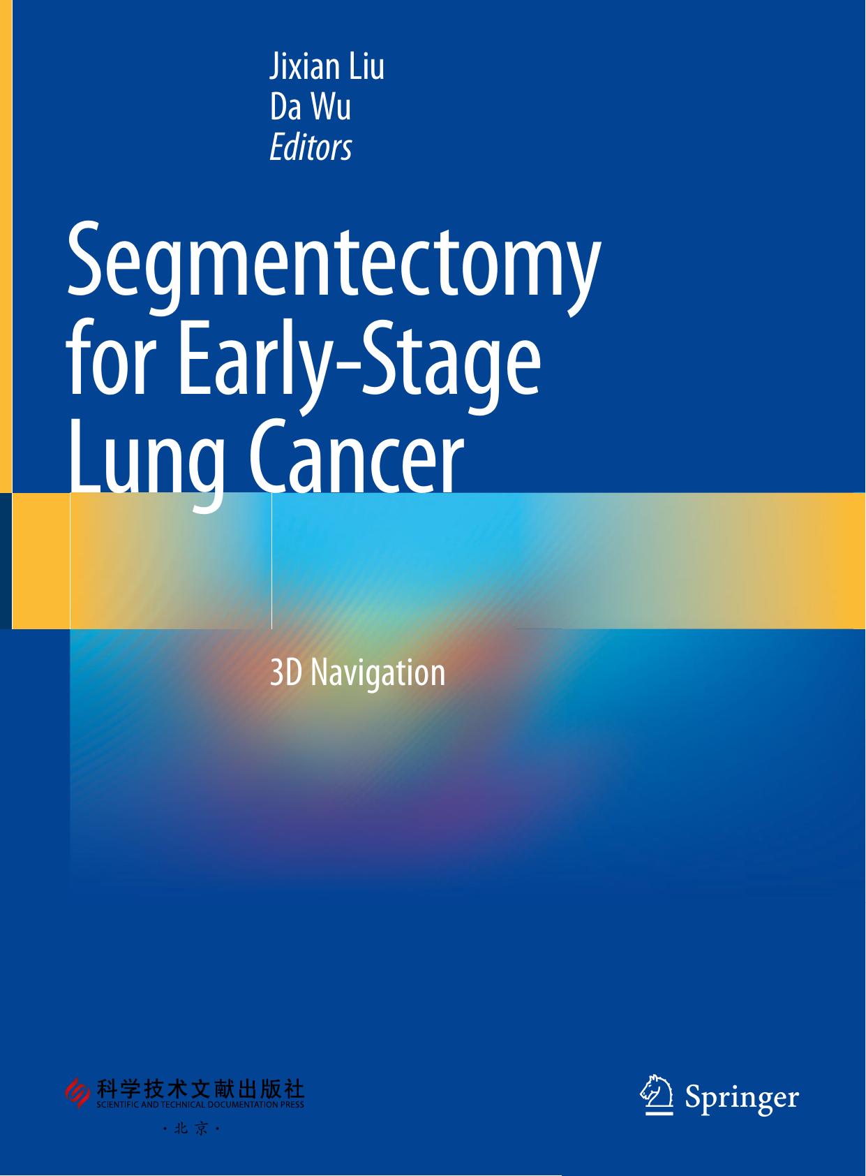 Segmentectomy for Early-Stage Lung Cancer: 3D Navigation by Jixian Liu Da Wu