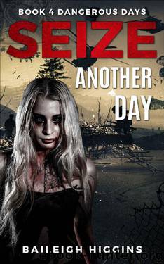 Seize Another Day (Dangerous Days - Zombie Apocalypse Book 4) by Baileigh Higgins