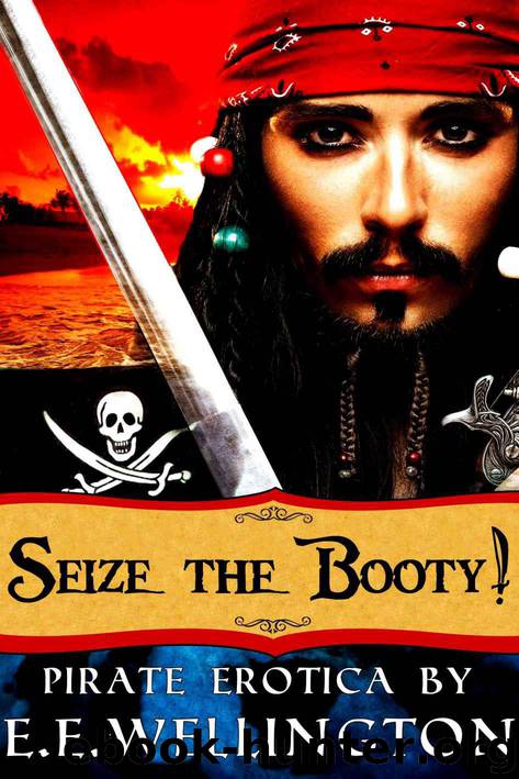 Seize the Booty! (Erotica Arcanus) by E.E. Wellington
