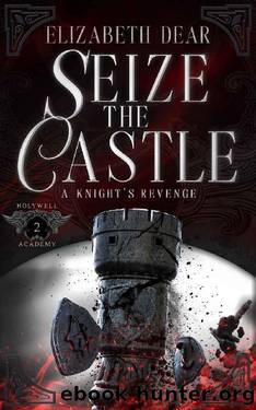 Seize the Castle (A Knight's Revenge Book 2) by Elizabeth Dear