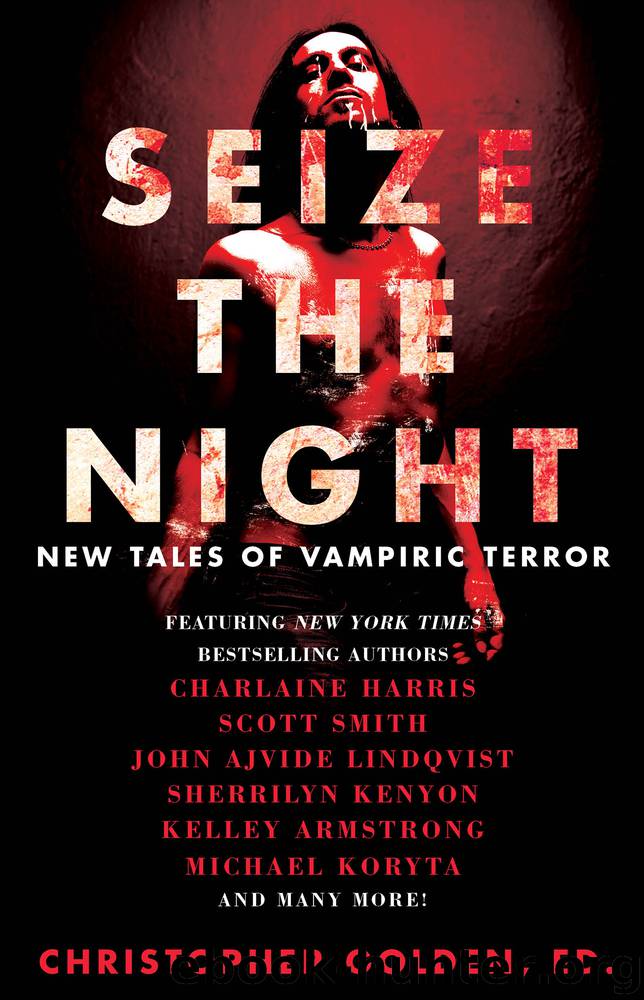 Seize the Night by unknow
