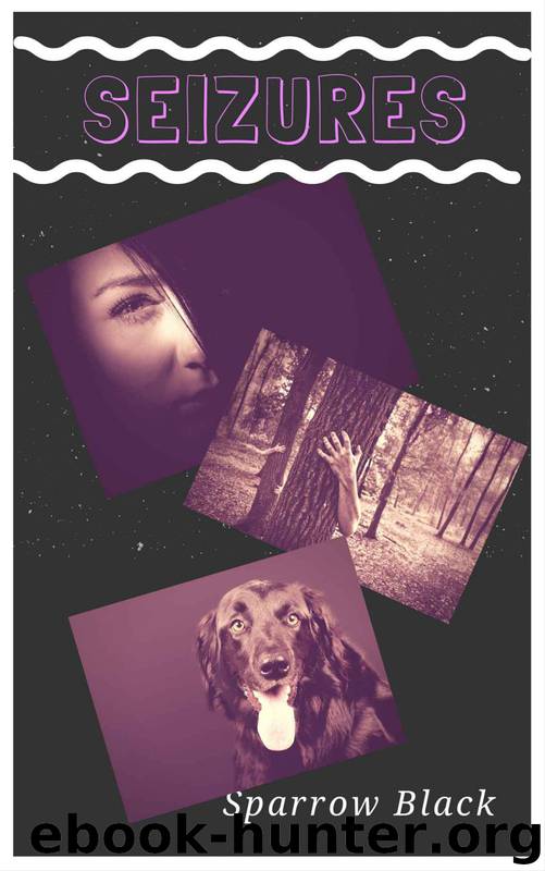 Seizures: A Tale of the Zombie Apocalypse by Sparrow Black