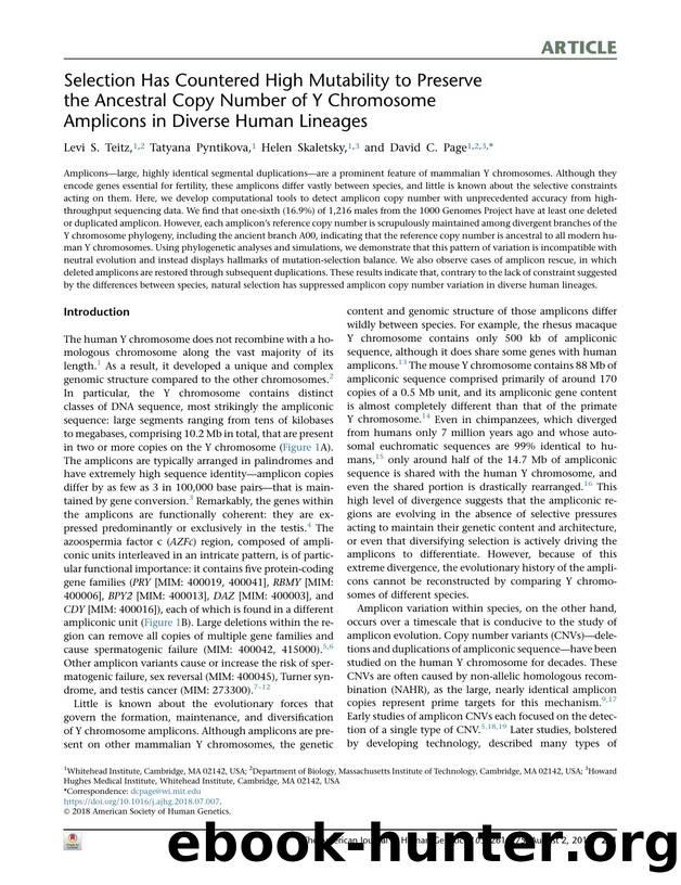 Selection Has Countered High Mutability to Preserve the Ancestral Copy Number of Y Chromosome Amplicons in Diverse Human Lineages by Levi S. Teitz & Tatyana Pyntikova & Helen Skaletsky & David C. Page