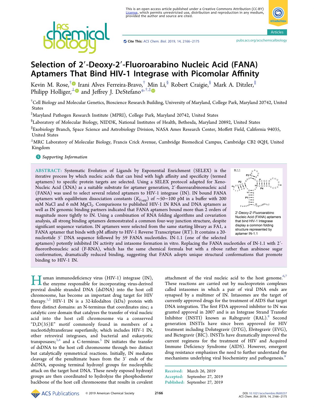 Selection of 2â²-Deoxy-2â²-Fluoroarabino Nucleic Acid (FANA) Aptamers That Bind HIV-1 Integrase with Picomolar Affinity by unknow