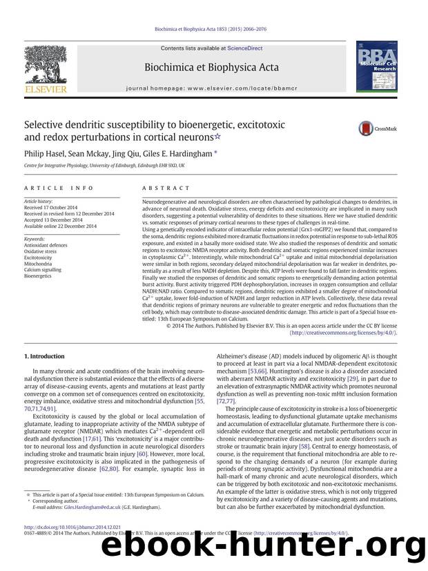 Selective dendritic susceptibility to bioenergetic, excitotoxic and redox perturbations in cortical neurons by Philip Hasel & Sean Mckay & Jing Qiu & Giles E. Hardingham
