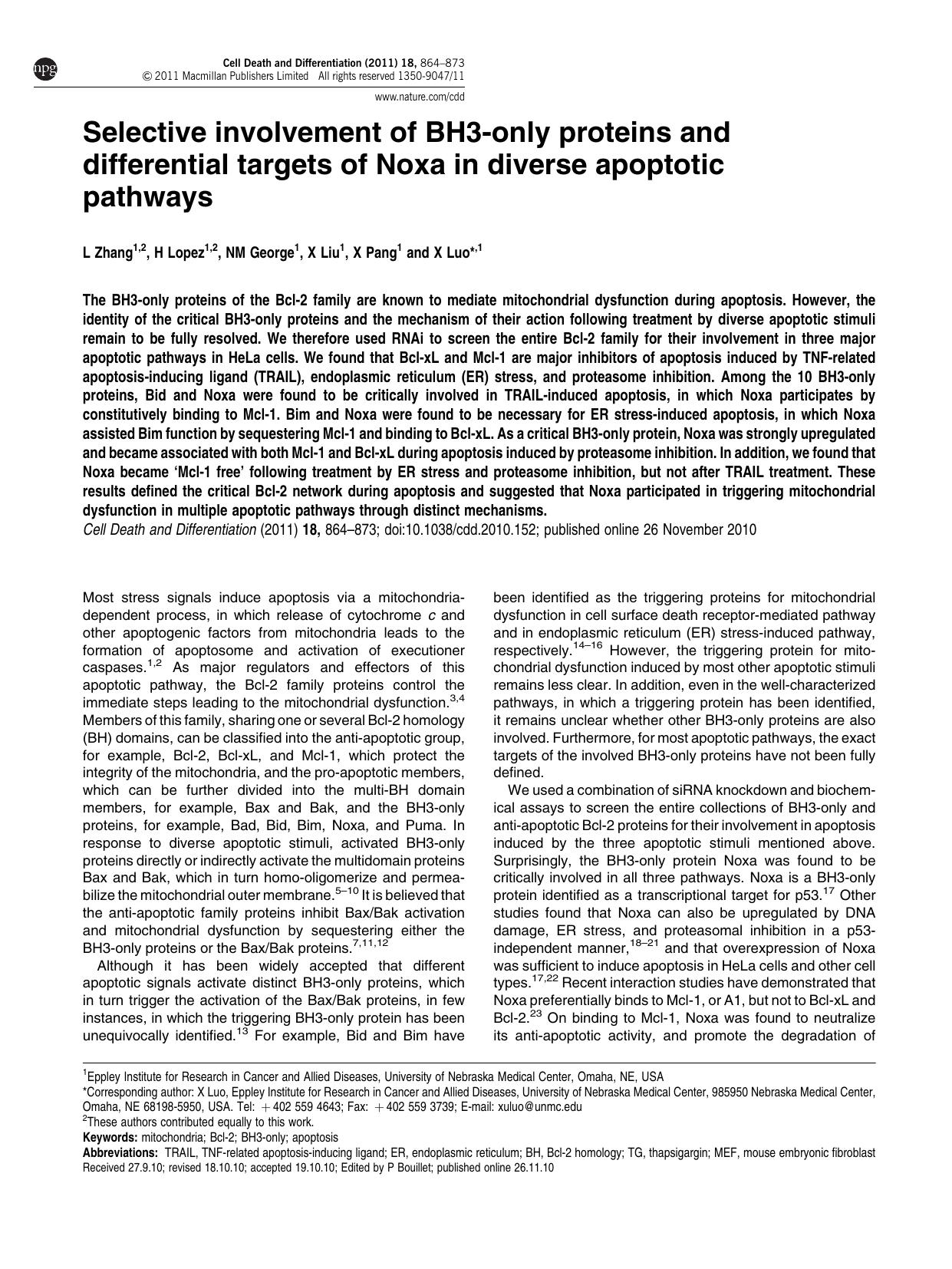 Selective involvement of BH3-only proteins and differential targets of Noxa in diverse apoptotic pathways by L Zhang & H Lopez & N M George & X Liu & X Pang & X Luo