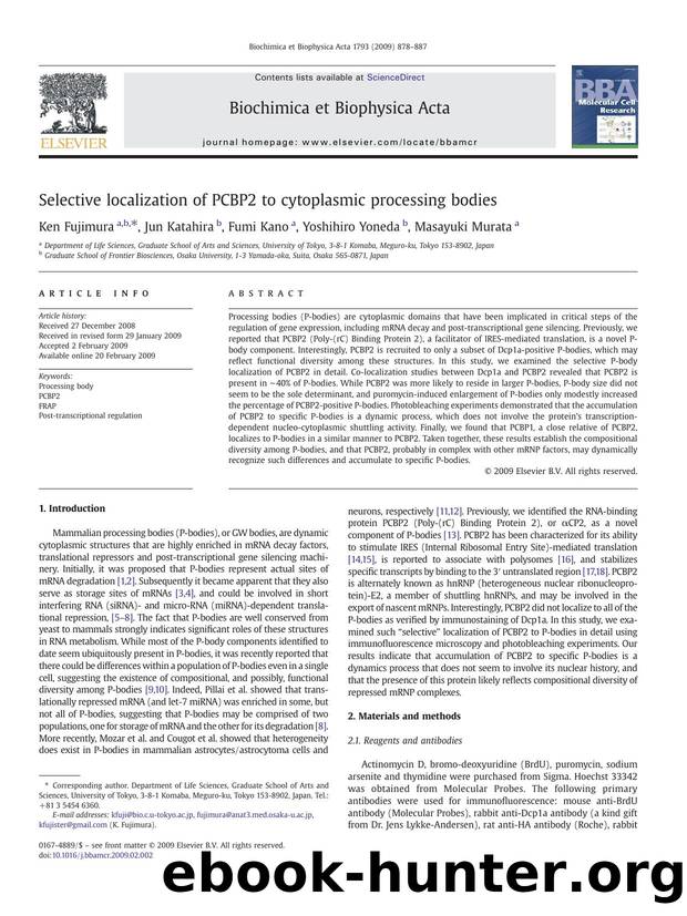 Selective localization of PCBP2 to cytoplasmic processing bodies by Ken Fujimura; Jun Katahira; Fumi Kano; Yoshihiro Yoneda; Masayuki Murata