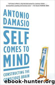 Self Comes to Mind by Antonio Damasio