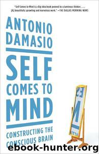 Self Comes to Mind by Antonio Damasio