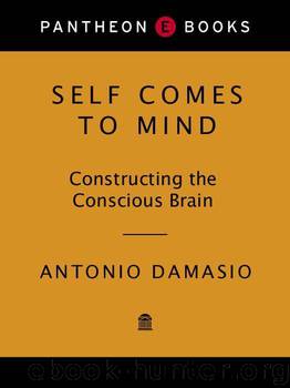 Self Comes to Mind: Constructing the Conscious Brain by Damasio Antonio