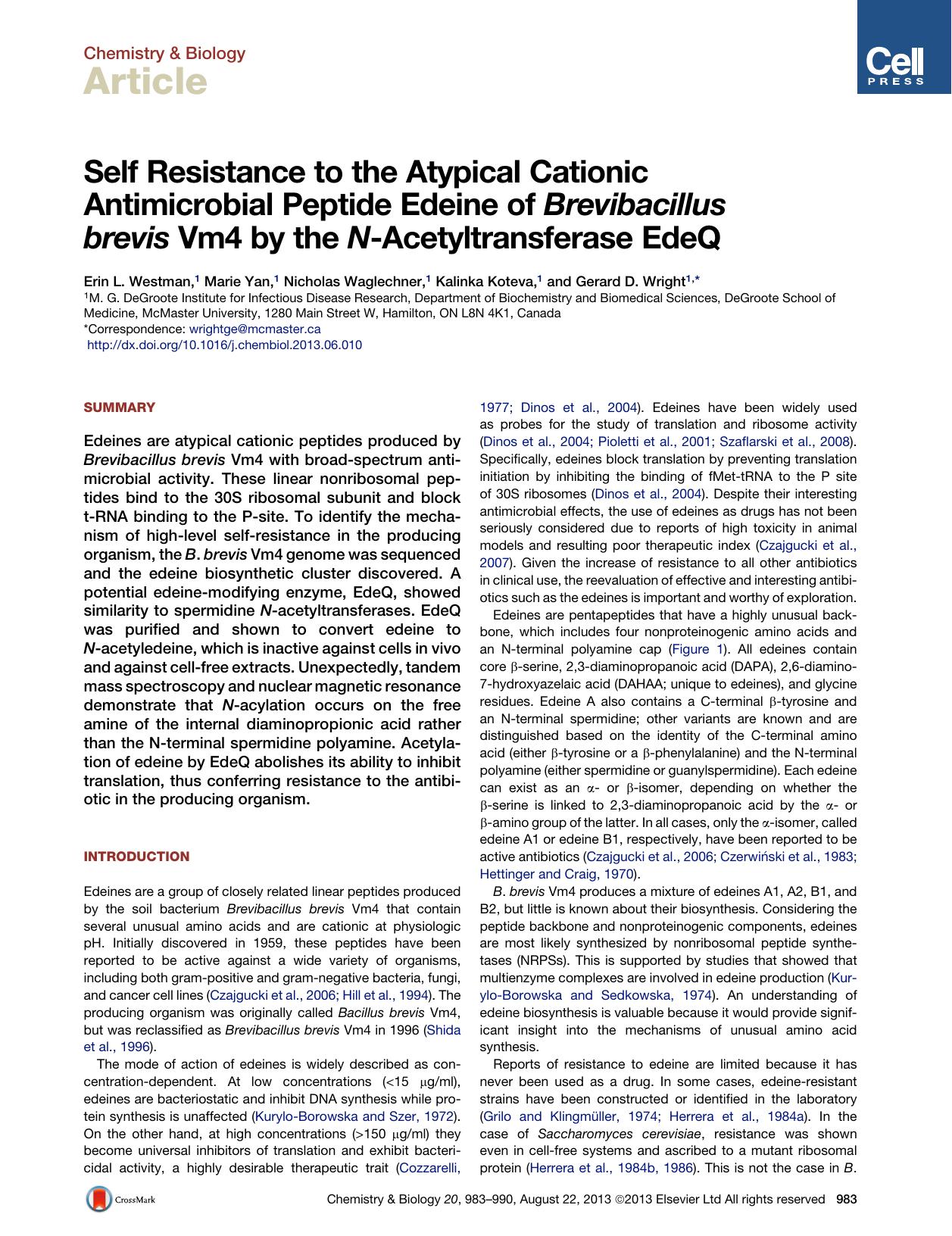 Self Resistance to the Atypical Cationic Antimicrobial Peptide Edeine of Brevibacillus brevis Vm4 by the N-Acetyltransferase EdeQ by Erin L. Westman & Marie Yan & Nicholas Waglechner & Kalinka Koteva & Gerard D. Wright