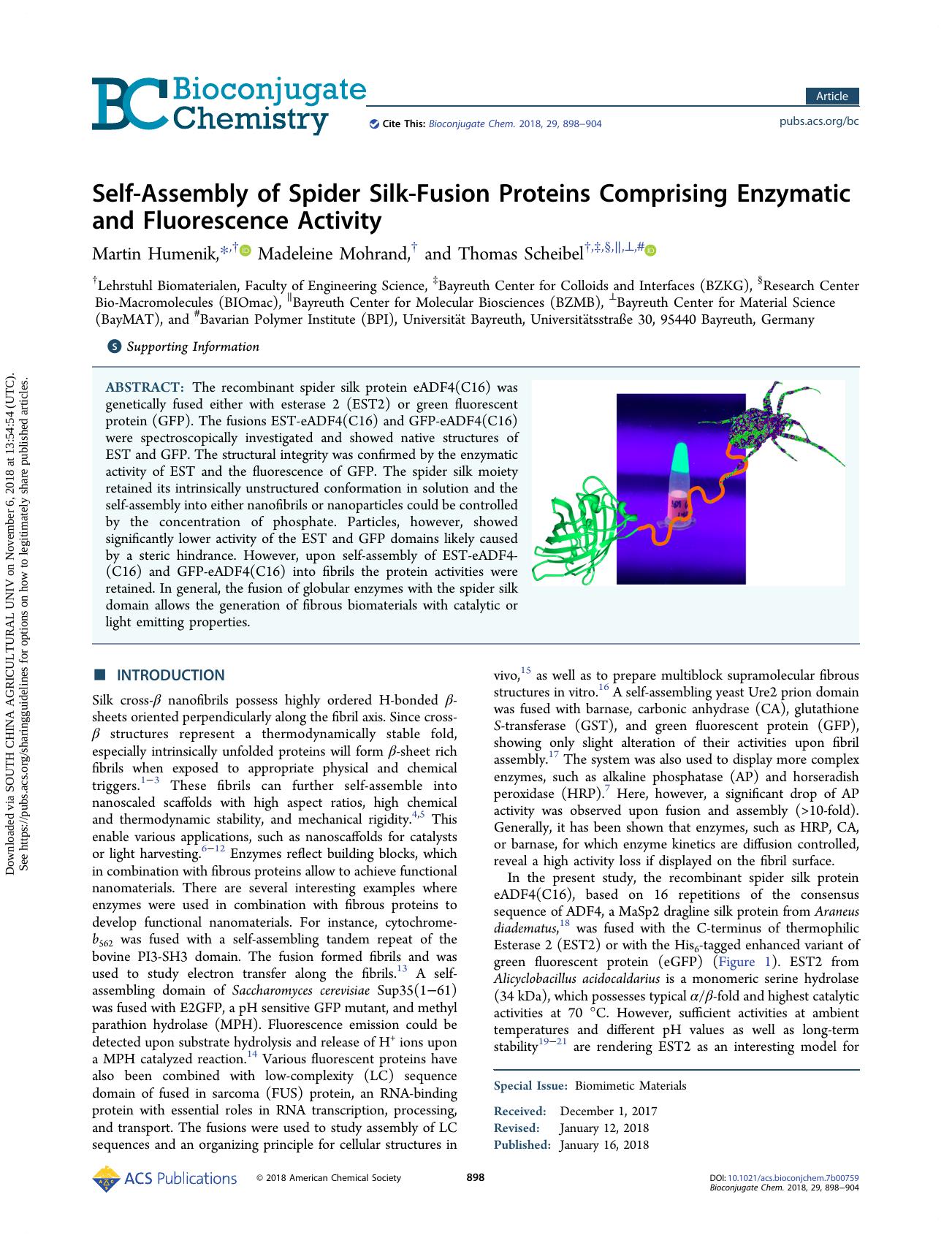 Self-Assembly of Spider Silk-Fusion Proteins Comprising Enzymatic and Fluorescence Activity by Martin Humenik Madeleine Mohrand & Thomas Scheibel