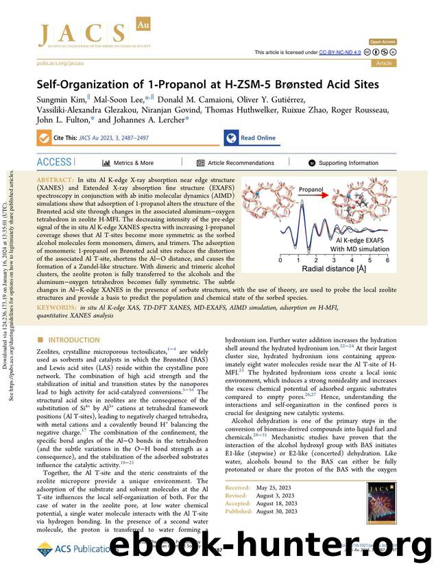 Self-Organization of 1-Propanol at H-ZSM-5 BrÃ¸nsted Acid Sites by unknow
