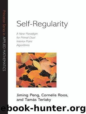 Self-Regularity by Peng Jiming; Roos Cornelis; Terlaky Tamás