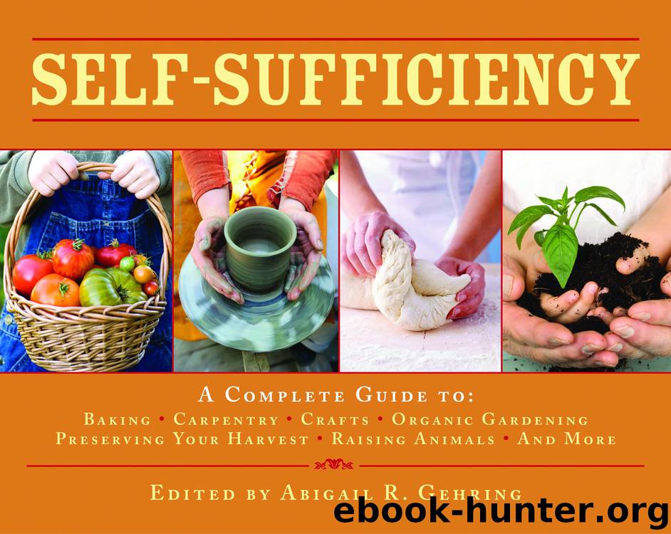 Self-Sufficiency by Abigail R. Gehring