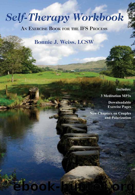 Self-Therapy Workbook: An Exercise Book For The IFS Process by Bonnie J. Weiss LCSW