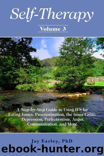 Self-Therapy, Vol. 3: A Step-by-Step Guide to Using IFS for Eating Issues, Procrastination, the Inner Critic, Depression, Perfectionism, Anger, Communication, and More (Self-Therapy Series) by Jay Earley