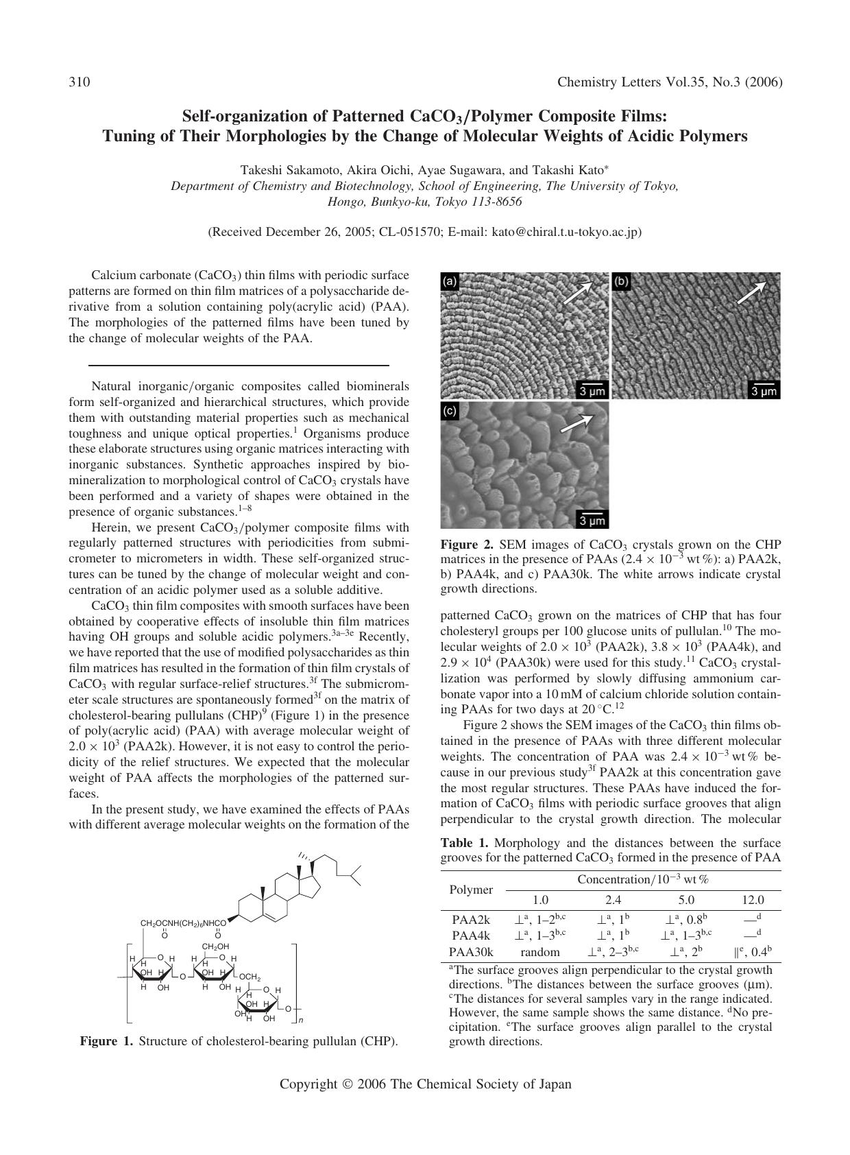 Self-organization of Patterned CaCO_{3}Polymer Composite Films: Tuning of Their Morphologies by the Change of Molecular Weights of Acidic Polymers by Takeshi Sakamoto Akira Oichi Ayae Sugawara and Takashi Kato